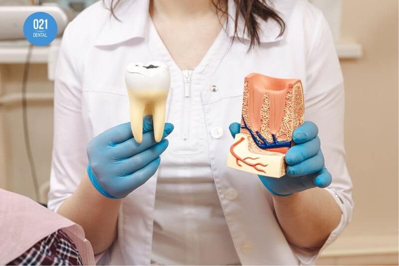 dentista segurando modelos que simulam os dentes e a gengiva