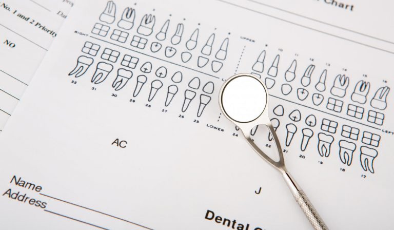 Nome e numeração dos dentes Saiba suas funções e curiosidades