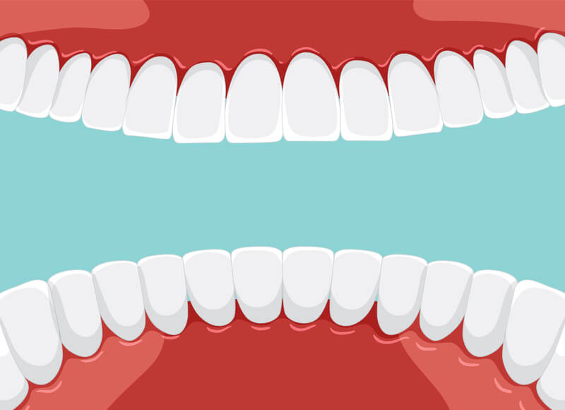 A Fascinante Jornada dos Dentes Humanos